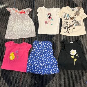 Little girl tops and shirts bundle